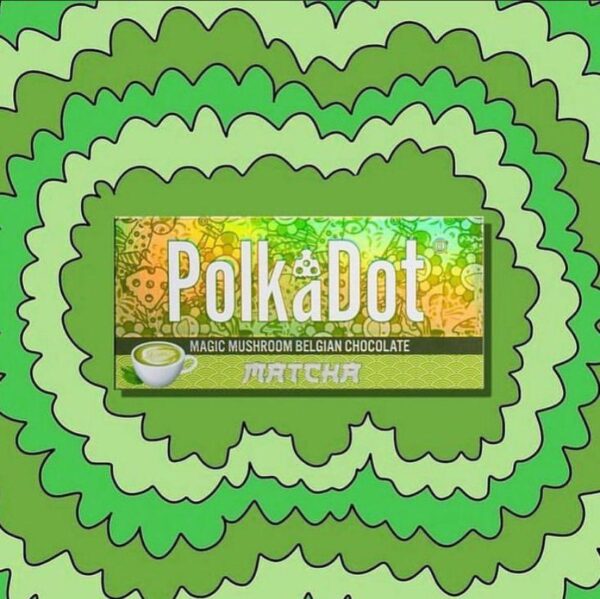 Polka Dot Matcha